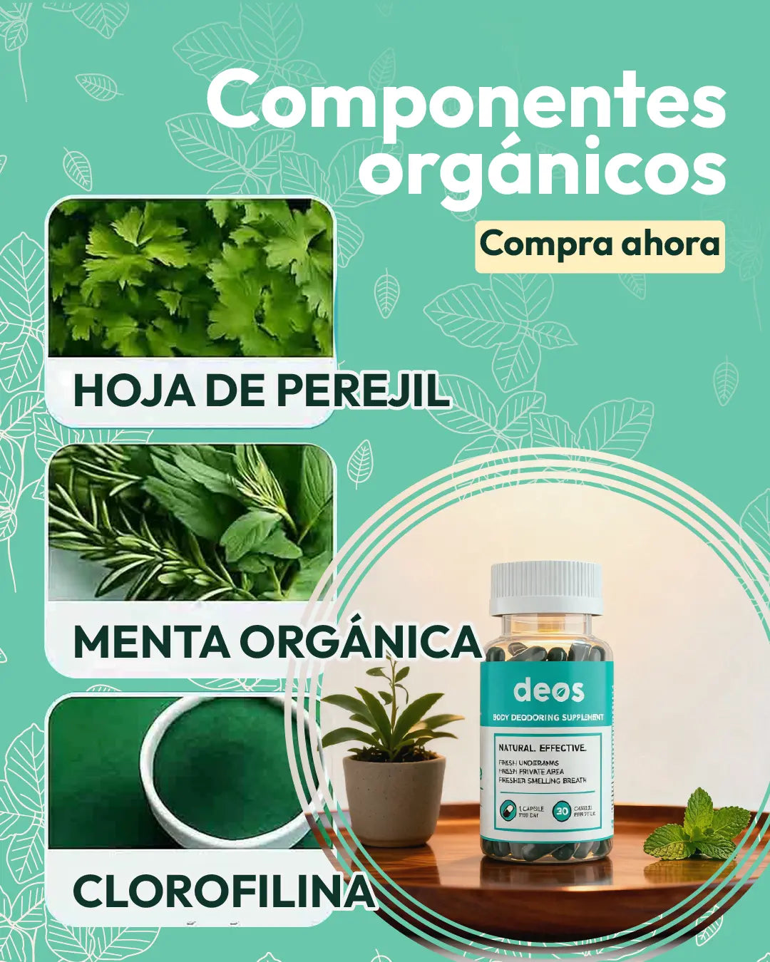 Componentes orgánicos de DEOS suplemento desodorante: hoja de perejil, menta orgánica y clorofilina.